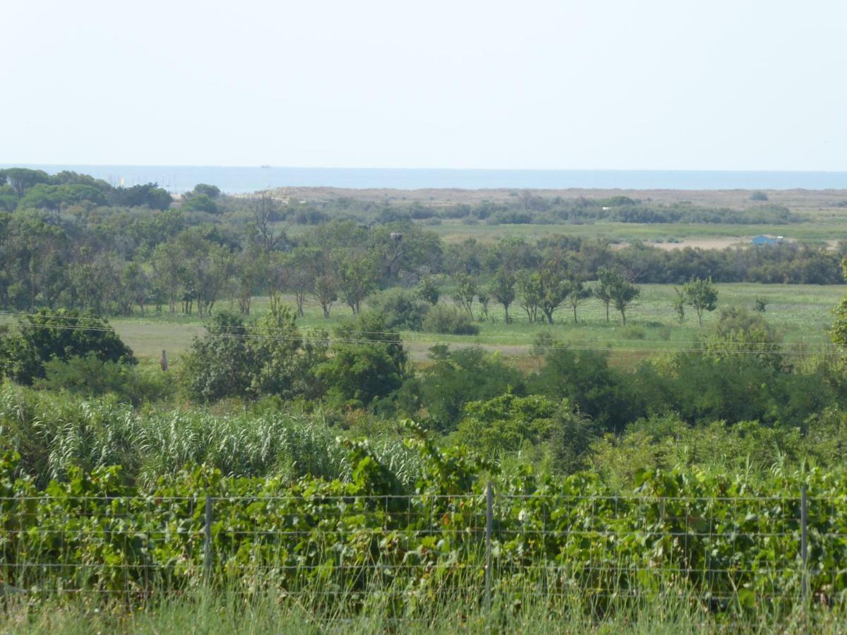 Gite Des Jonquies, Au Calme Vue Sur Le Canal Du Midi Et La Mer Portiragnes Exteriör bild